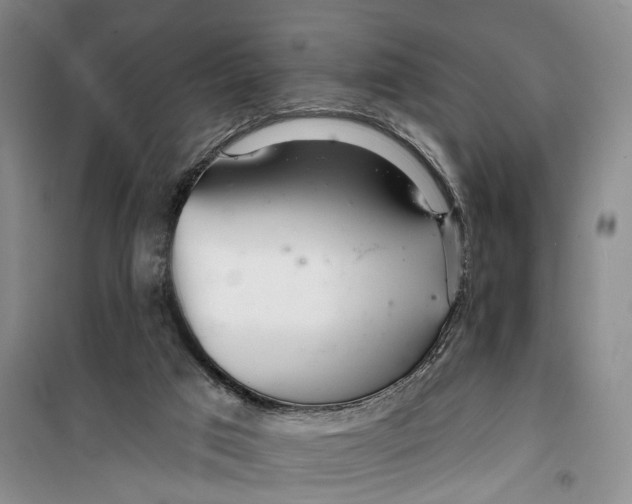 X0000099420017200805301417