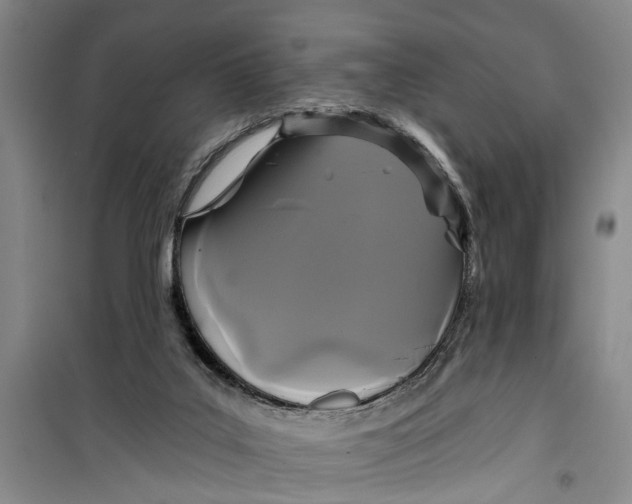 X0000099420019200805301417