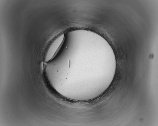 X0000099420020200805301417