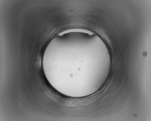 X0000099420021200805301417