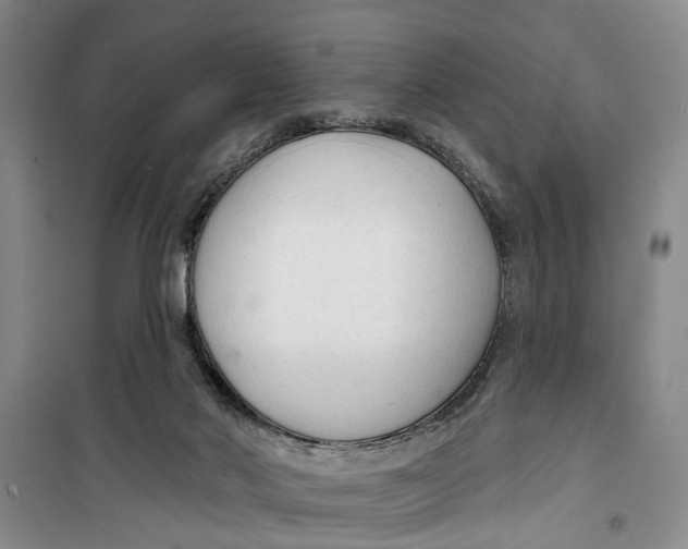 X0000099420022200805301417