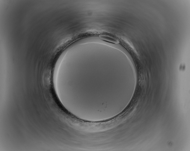 X0000099420023200805301417