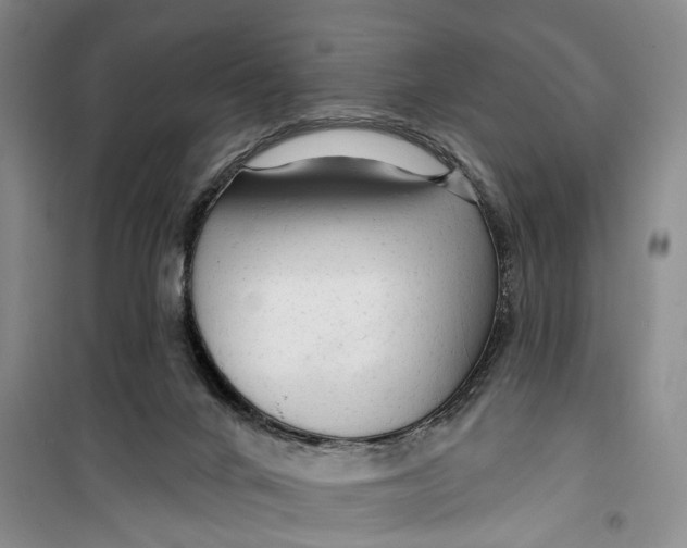 X0000099420024200805301417