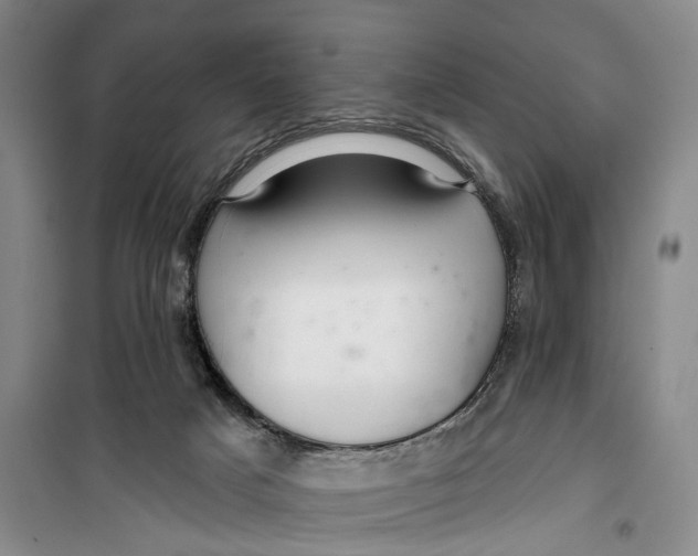 X0000099420025200805301417