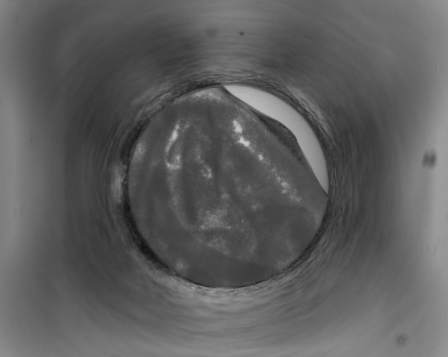 X0000099420026200805301417