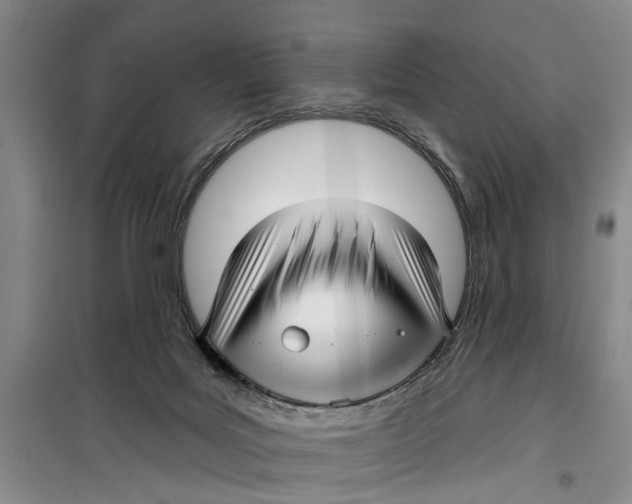 X0000099420027200805301417