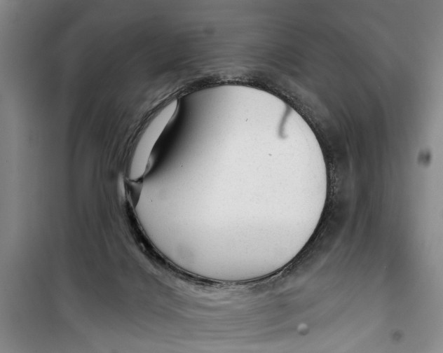 X0000099420028200805301417