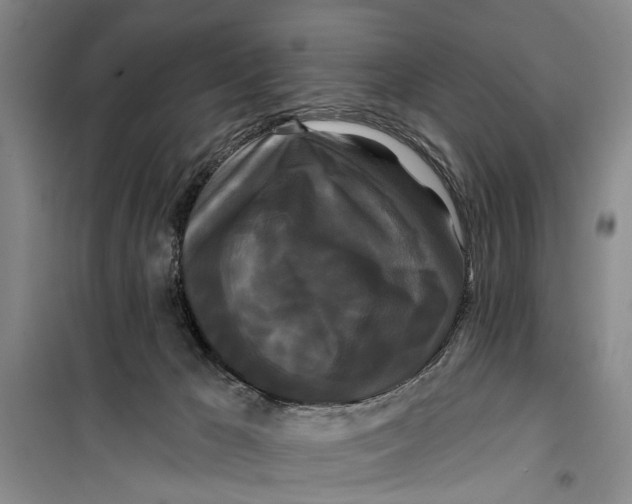 X0000099420029200805301417