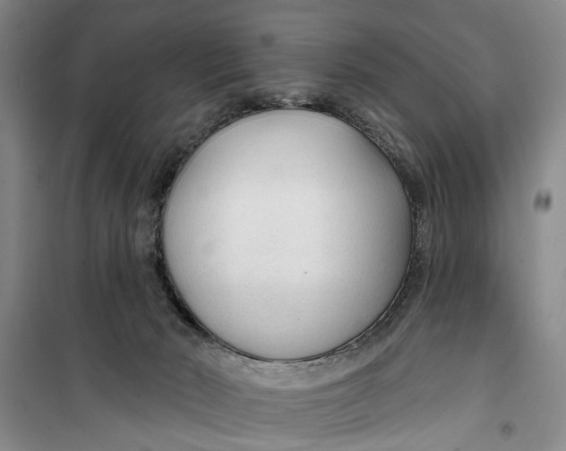 X0000099420030200805301417