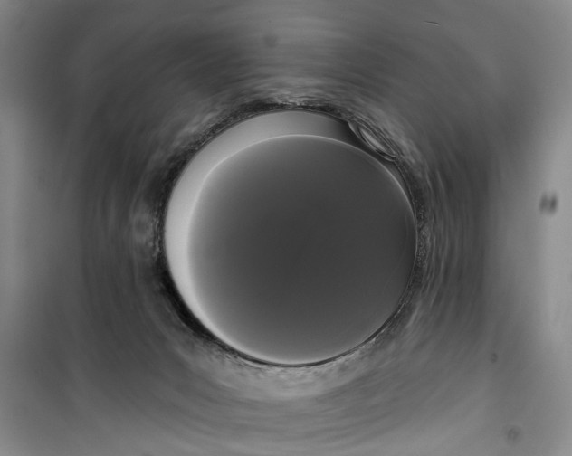 X0000099420031200805301417