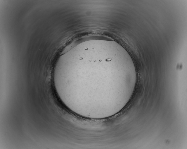 X0000099420032200805301417