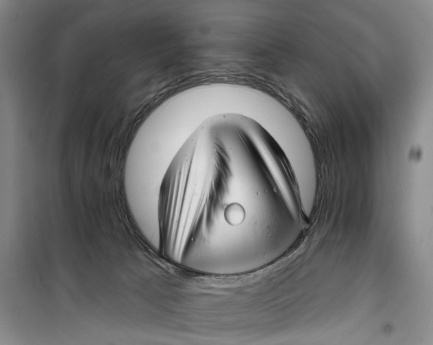 X0000099420033200805301417