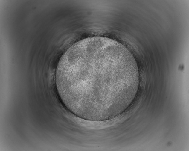 X0000099420034200805301417