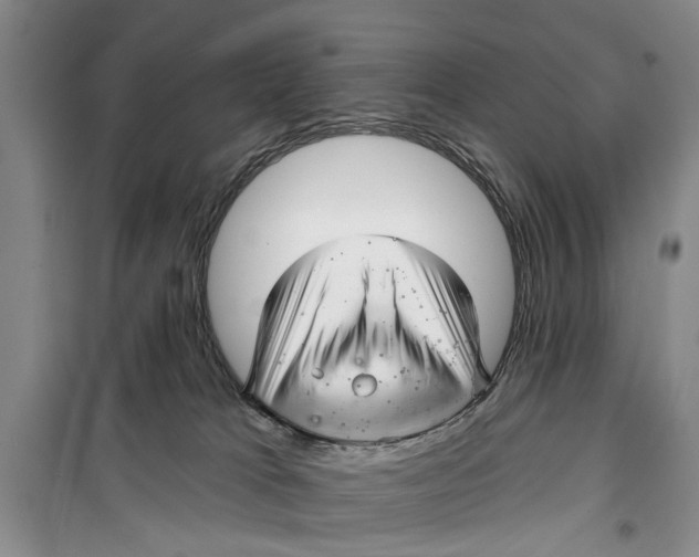 X0000099420037200805301417