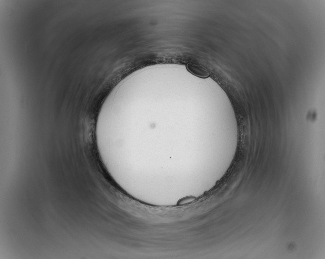 X0000099420038200805301417