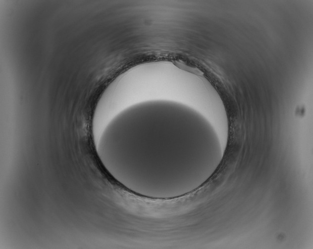 X0000099420039200805301417