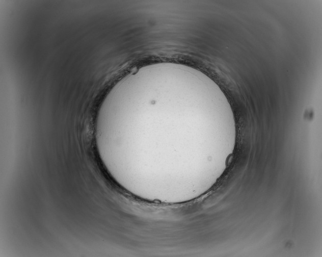 X0000099420040200805301417