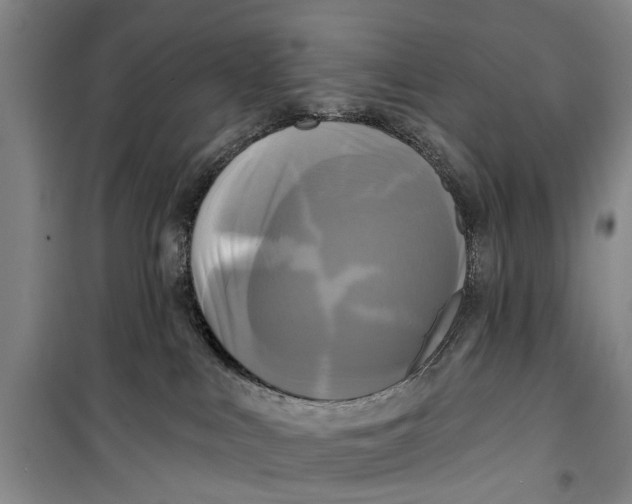 X0000099420043200805301417