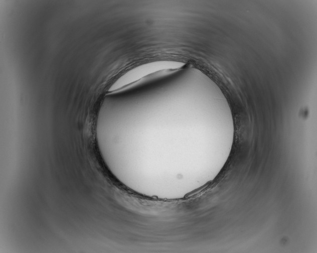 X0000099420044200805301417