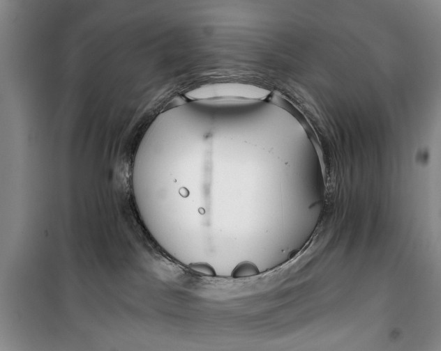 X0000099420045200805301416