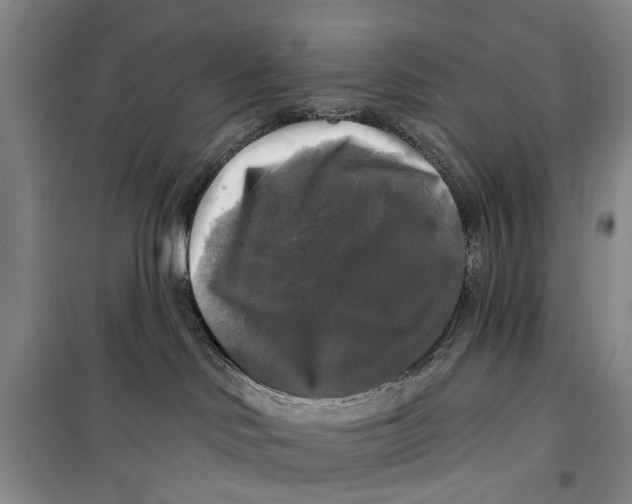 X0000099420046200805301416