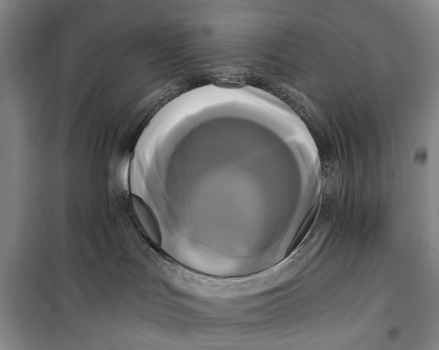 X0000099420047200805301416