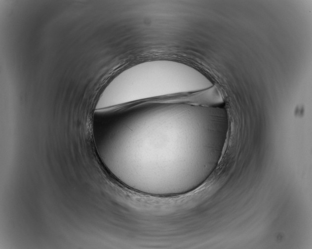 X0000099420048200805301416