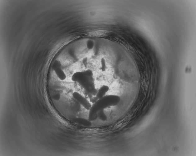 X0000099420049200805301416