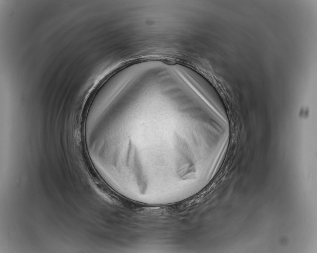 X0000099420050200805301416