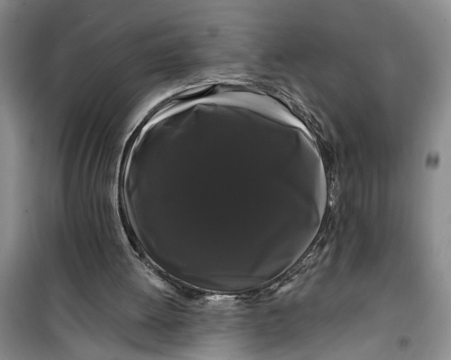 X0000099420052200805301416