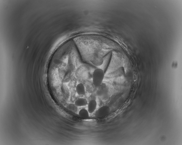 X0000099420053200805301416