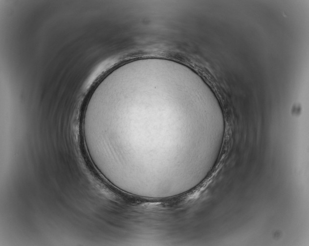 X0000099420054200805301416