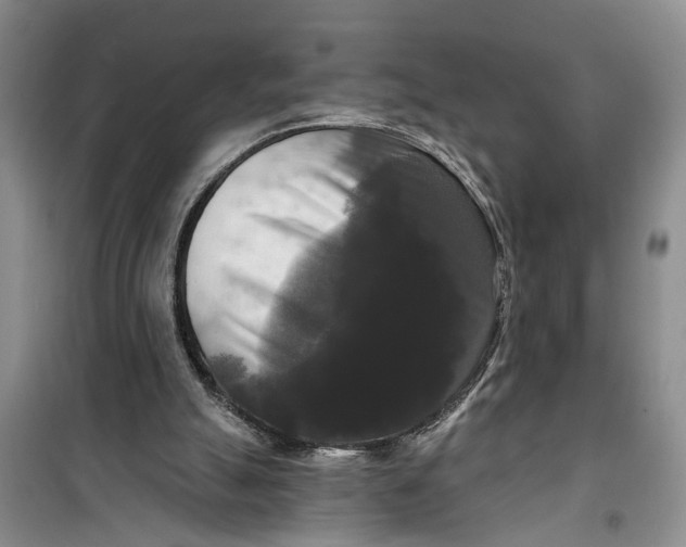 X0000099420055200805301416