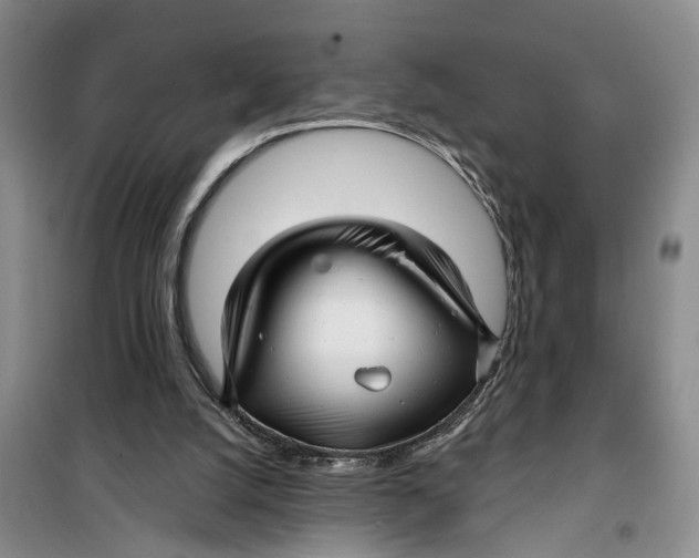 X0000099420056200805301416