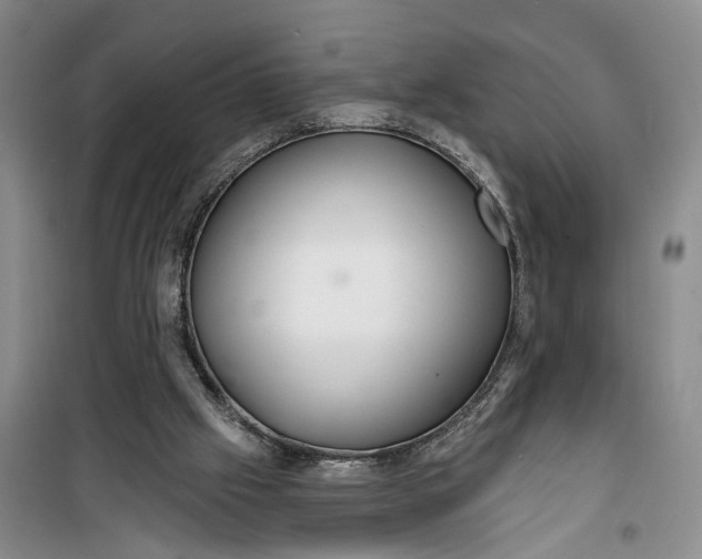 X0000099420057200805301416