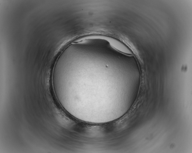 X0000099420058200805301416