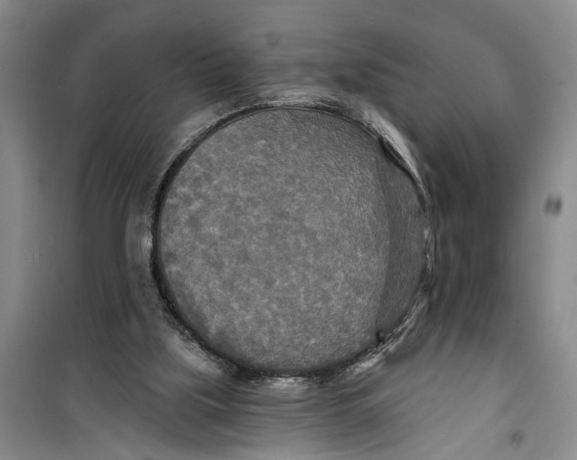 X0000099420059200805301416