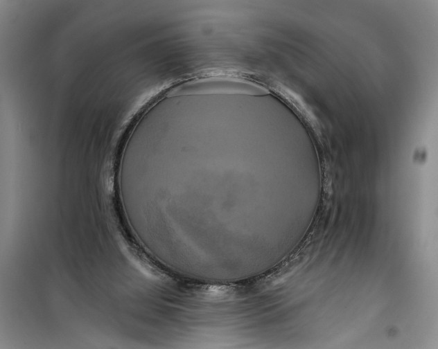 X0000099420060200805301416