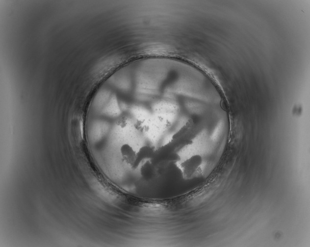 X0000099420061200805301416