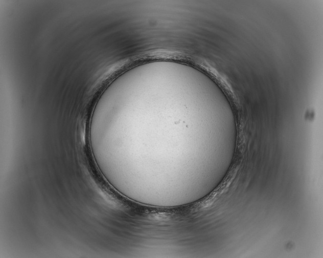 X0000099420062200805301416