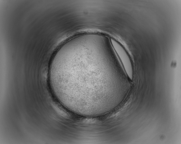 X0000099420063200805301416