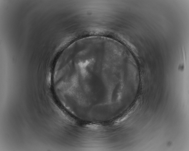 X0000099420067200805301416