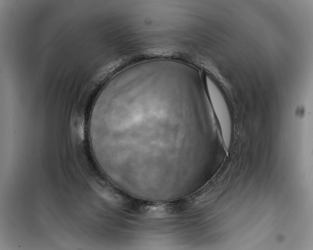 X0000099420068200805301416