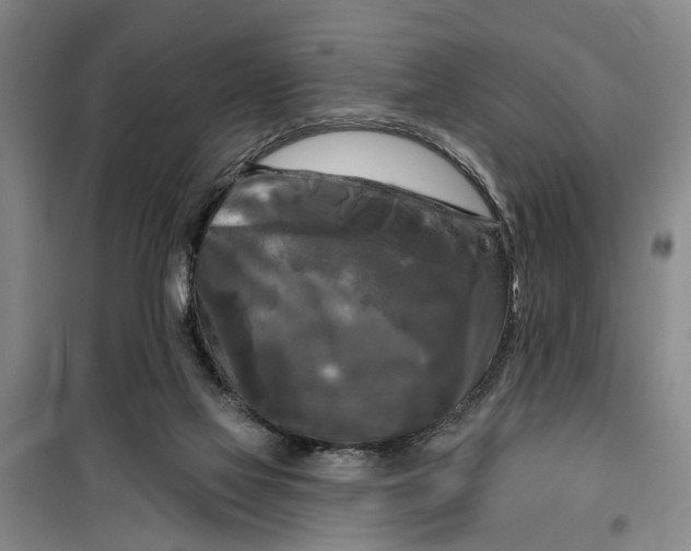 X0000099420069200805301416