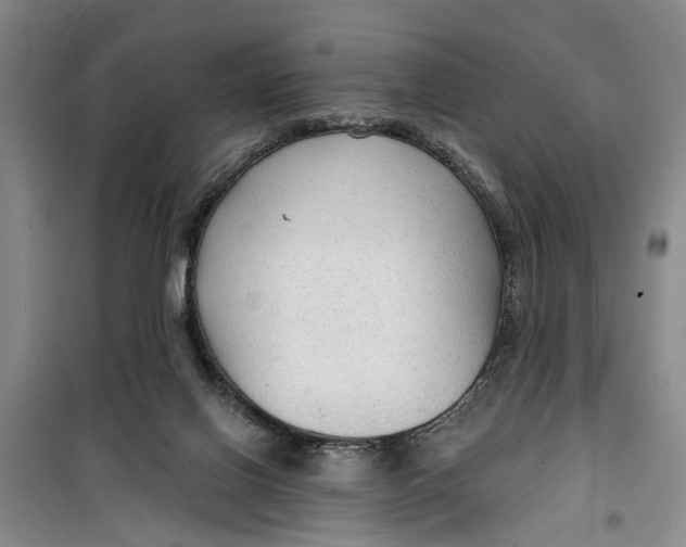 X0000099420070200805301416