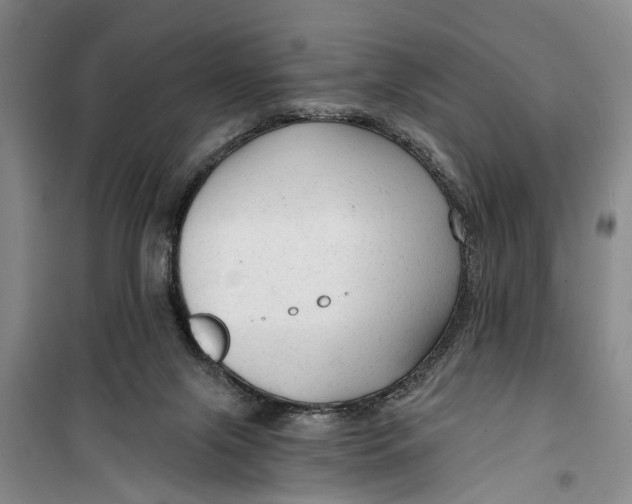 X0000099420071200805301416