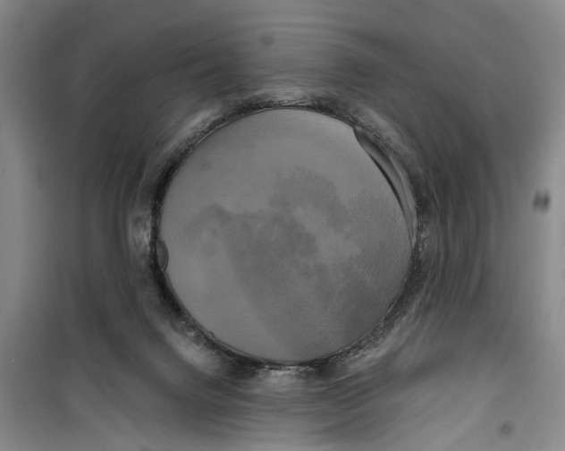 X0000099420072200805301416