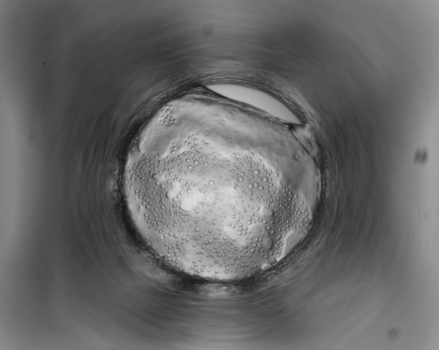 X0000099420073200805301416