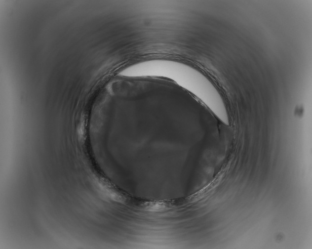 X0000099420074200805301416