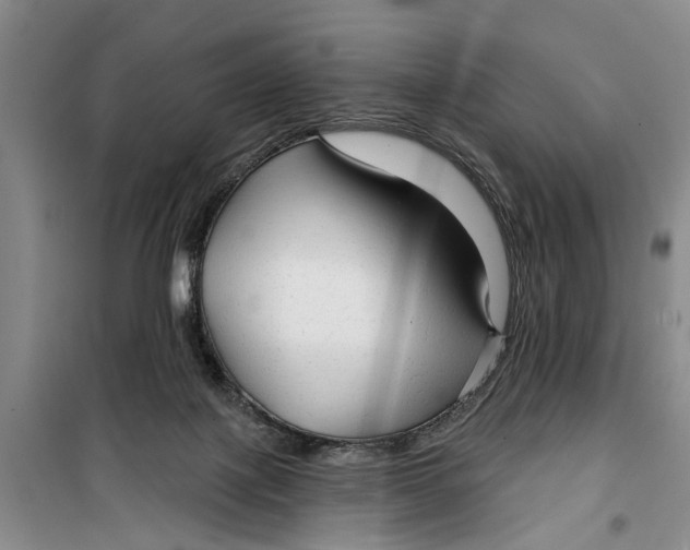 X0000099420075200805301416